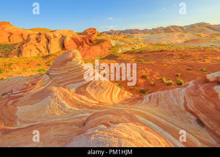 Der gestreifte Landschaft der populären Brand Wave Wanderung in der Valley of Fire State Park in Nevada, United States bei Sonnenuntergang Farben. Brand Wave ist eine der bekanntesten Formationen im Tal des Feuers. Stockfoto