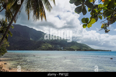 Tropisches Paradies, Insel Moorea in Französisch Polynesien Stockfoto