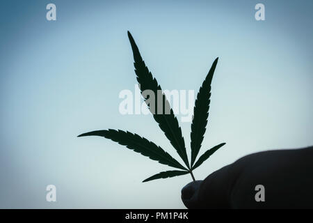 Silhouette einem hanfblatt in einer männlichen Hand gegen Cannabis blauen Himmel bei Sonnenuntergang. Symbol für die Legalisierung von Marihuana. Stockfoto