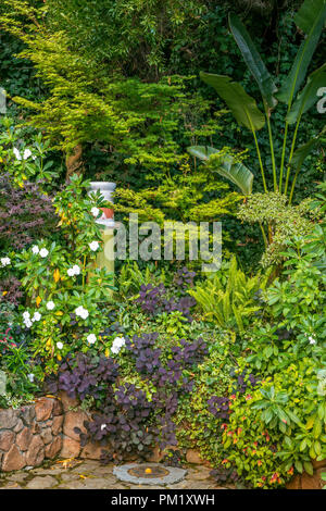 Rock Garden, Zypressen Garten, Mill Valley, Kalifornien Stockfoto