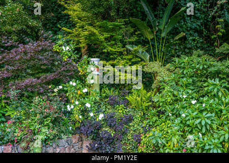 Rock Garden, Zypressen Garten, Mill Valley, Kalifornien Stockfoto