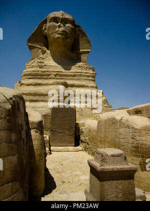 Nahaufnahme Blick auf die Große Sphinx von Gizeh, Ägypten in einem begrenzten Bereich. Dies ist ein wichtiges touristisches Ziel und wichtige archäologische Stätte. Stockfoto