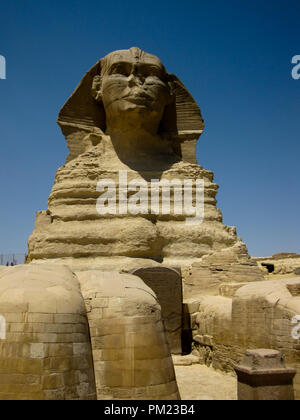 Nahaufnahme Blick auf die Große Sphinx von Gizeh, Ägypten in einem begrenzten Bereich. Dies ist ein wichtiges touristisches Ziel und wichtige archäologische Stätte. Stockfoto