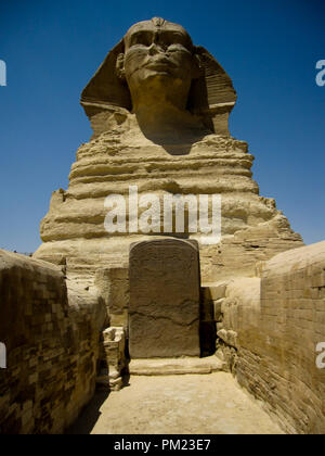 Nahaufnahme Blick auf die Große Sphinx von Gizeh, Ägypten in einem begrenzten Bereich. Dies ist ein wichtiges touristisches Ziel und wichtige archäologische Stätte. Stockfoto