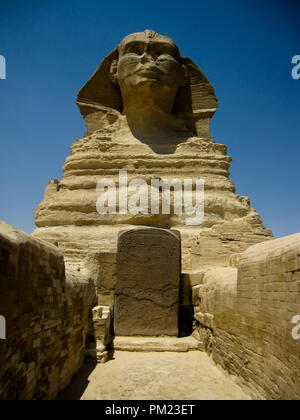 Nahaufnahme Blick auf die Große Sphinx von Gizeh, Ägypten in einem begrenzten Bereich. Dies ist ein wichtiges touristisches Ziel und wichtige archäologische Stätte. Stockfoto