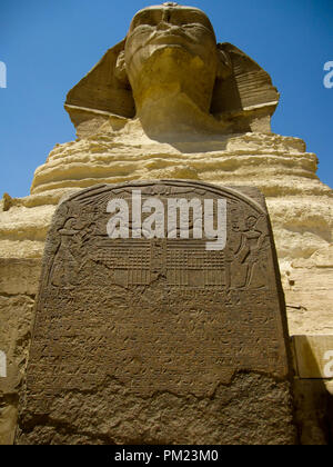 Nahaufnahme Blick auf die Große Sphinx von Gizeh, Ägypten in einem begrenzten Bereich. Dies ist ein wichtiges touristisches Ziel und wichtige archäologische Stätte. Stockfoto