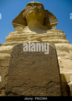 Nahaufnahme Blick auf die Große Sphinx von Gizeh, Ägypten in einem begrenzten Bereich. Dies ist ein wichtiges touristisches Ziel und wichtige archäologische Stätte. Stockfoto