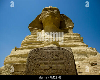 Nahaufnahme Blick auf die Große Sphinx von Gizeh, Ägypten in einem begrenzten Bereich. Dies ist ein wichtiges touristisches Ziel und wichtige archäologische Stätte. Stockfoto