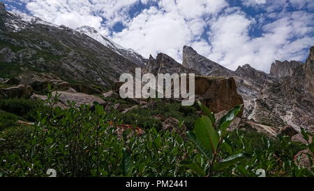 Schöne Landschaft von Laila Gondogoro Peak und Gletscher Karakorum Berg im Sommer, Khuspang Camp, K2 trek, Pakistan. Stockfoto