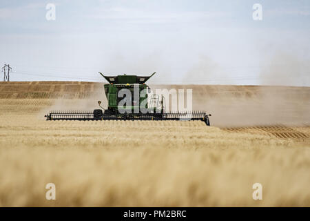 Limerick, Saskatchewan, Kanada. 9 Sep, 2018. Ein Feld von Weizen geerntet durch einen Landwirt mit einem John Deere zu kombinieren. Credit: bayne Stanley/ZUMA Draht/Alamy leben Nachrichten Stockfoto