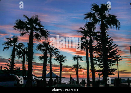 Adelaide Australien. 17.September 2018. Palmen sind gegen eine dramatische Himmel während einer Feder Sonnenuntergang in Grange Adelaide Credit Silhouette: Amer ghazzal/Alamy leben Nachrichten Stockfoto