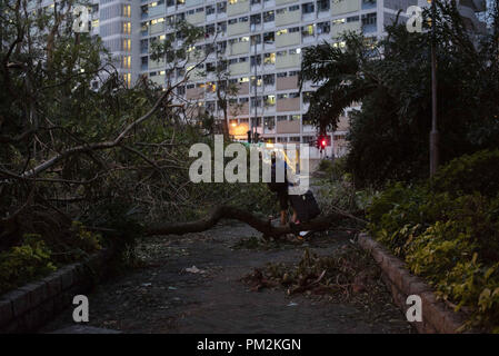 Hong Kong, Kowloon, China. 17 Sep, 2018. Ein Bewohner mit einem Gepäck Spaziergänge über beschädigte Bäume einen Tag nach Super typhoon Mangkhut Hongkong bestanden hat. Die super Typhoon Mangkhut am 16. September weiter nach Hongkong bestanden hat verursachen große Schäden in der Stadt gibt es 432 Menschen, die noch Verletzten aufgrund der Sturm mit 2 in einem kritischen Zustand. Credit: Miguel Candela/SOPA Images/ZUMA Draht/Alamy leben Nachrichten Stockfoto