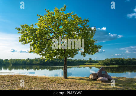 Schöne Landschaft mit einem einsamen Baum und großen Steinen am Ufer des Flusses in einem Sommer sonnigen Tag. Stockfoto