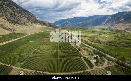 Antenne Panoramablick auf den Feldern bei einem bewölkten Sommertag. Im Cawston, in der Nähe von Osoyoos, BC, Kanada. Stockfoto