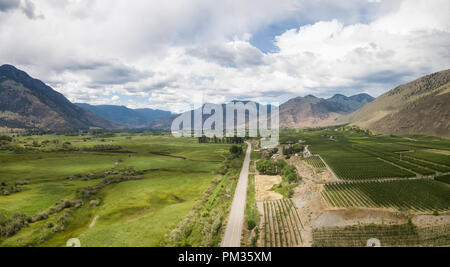 Antenne Panoramablick auf den Feldern bei einem bewölkten Sommertag. Im Cawston, in der Nähe von Osoyoos, BC, Kanada. Stockfoto