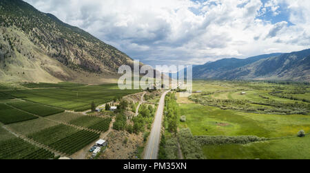 Antenne Panoramablick auf den Feldern bei einem bewölkten Sommertag. Im Cawston, in der Nähe von Osoyoos, BC, Kanada. Stockfoto