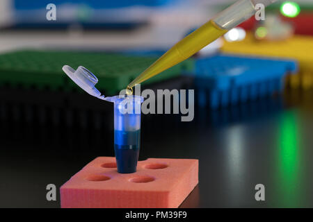 PCR-Streifen in der genetischen Labor Stockfoto