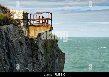 Die Klippen auf der Insel South Stack Lighthouse, Holy Island, Anglesey, Wales, Großbritannien Stockfoto