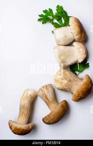 Herbst Steinpilze, mit Petersilie grüne Steinpilze Boletus edulis, auf weissem Küche leckere Bio Pilz isoliert. Gourmet Essen Stockfoto