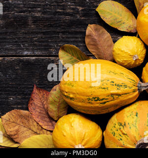 Happy Thanksgiving Hintergrund. Herbst Ernte und Urlaub Grenze. Auswahl verschiedener Kürbisse auf dunklem Hintergrund. Herbst Gemüse und seaso Stockfoto