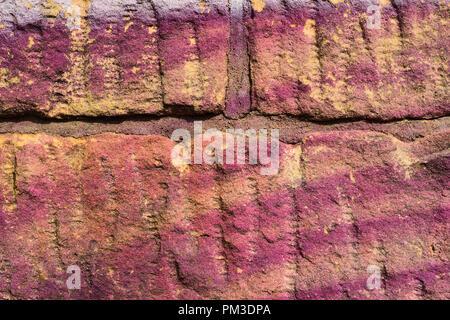 Einer alten Mauer mit lila Graffiti Stockfoto