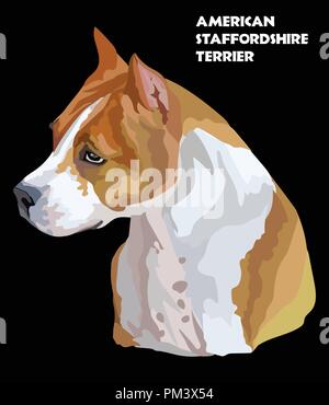 Farbige Porträt der American Staffordshire Terrier isoliert Vector Illustration auf schwarzem Hintergrund Stock Vektor