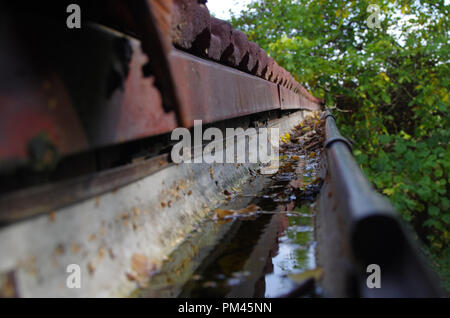 Wasser und Blätter in eine verstopfte Dachrinne. Kein Abfluss aus dem Dach. Stockfoto