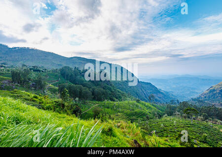Morgen Panorama über ein Tal in der Nähe von Lipton Seat, einem hohen Aussichtspunkt im Tee Plantage Hügel, Dambethenna, Haputale, Uva, Sri Lanka Stockfoto