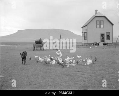 Hancock Homestead, 23. Juli 1910. Siedler von Benson, Minn. Sun River Project, Montana. Datei Referenz Nr. 1003 049 THA Stockfoto