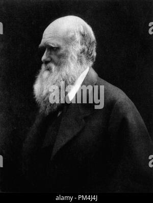 Charles Darwin, von Julia Margaret Cameron 1868 Datei Referenz Nr. 1003 520 THA fotografiert. Stockfoto