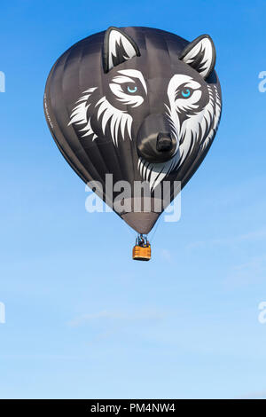 Wes der Wolf Heißluftballon am Himmel in Longleat Sky Safari, Wiltshire, UK im September Stockfoto