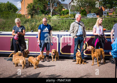 Eine Gruppe Hundehalter Montage neben theTrent & Mersey Canal in Cheshire vor einer sozialen Gruppe zu Fuß auf einem Sonntag Morgen Stockfoto