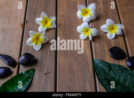 Plumeria Blumen und schwarze runde Steine auf Holz- Oberfläche Stockfoto