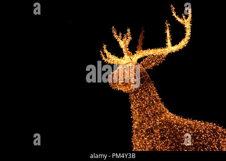 Beleuchtete LED-String Gold Riese Rentier von Outdoor Weihnachten Dekoration gegen den Nachthimmel Stockfoto