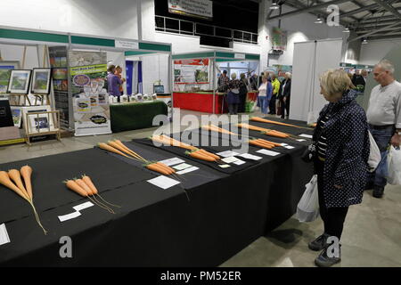 Harrogate Flower Show 2018 Harrogate, Yorkshire, UK. September, 2018 18. Jährliche Herbst Harrogate Flower Show Stockfoto