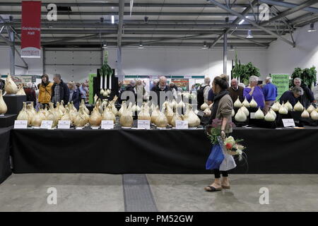 Harrogate Flower Show 2018 Harrogate, Yorkshire, UK. September, 2018 18. Jährliche Herbst Harrogate Flower Show Stockfoto