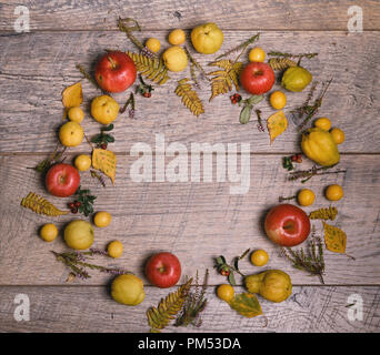 Kranz aus Herbst Blätter, Beeren, Äpfel und Nüsse auf Holz- Hintergrund. Herbst Konzept. Stockfoto