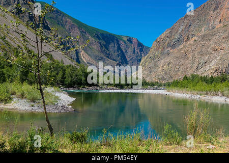 Chulyshman Fluss an einem sonnigen Tag, Republik Altai, Russland Stockfoto