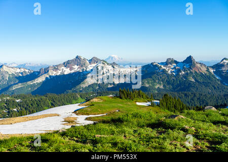 Wanderwege in der Nähe von Gletschern in Mt Rainier National Park, WA. In der Ferne sehen Sie schneebedeckte Gipfel rund um Gedeckelt. Stockfoto