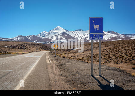 Schild "Cruce de Vikunjas' (d. h. vicugnas Kreuzung) auf einer Straße in Chile Stockfoto