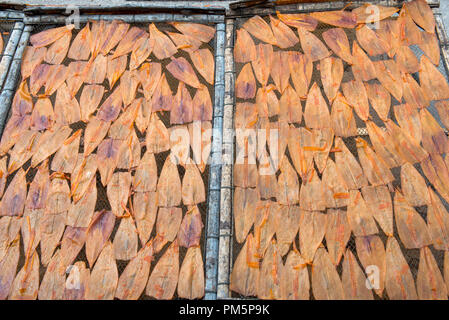 Thailand; Petchaburi; getrocknete Tintenfische Calmars séchés Stockfoto