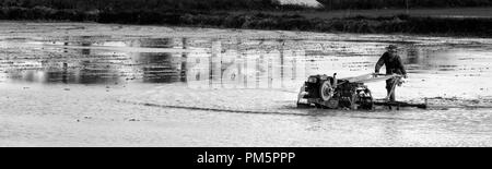 Süd-Thailand, Landwirt fahren Reis Traktor für die Vorbereitung des Bodens für Reis-Plantage Stockfoto