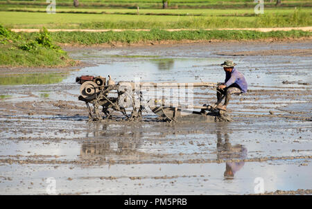 Süd-Thailand, Landwirt fahren Reis Traktor für die Vorbereitung des Bodens für Reis-Plantage Stockfoto