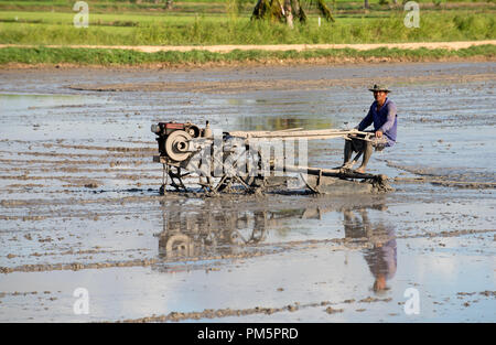 Süd-Thailand, Landwirt fahren Reis Traktor für die Vorbereitung des Bodens für Reis-Plantage Stockfoto