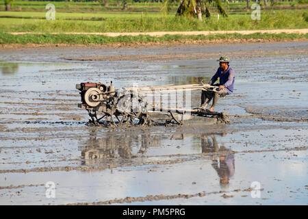 Süd-Thailand, Landwirt fahren Reis Traktor für die Vorbereitung des Bodens für Reis-Plantage Stockfoto