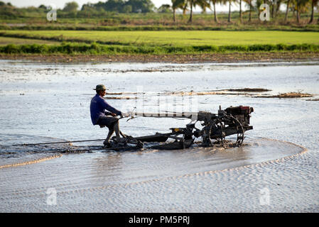 Süd-Thailand, Landwirt fahren Reis Traktor für die Vorbereitung des Bodens für Reis-Plantage Stockfoto