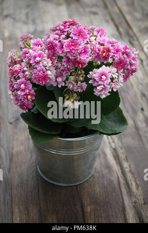 Ein rustikales Ambiente von rosa Blumen in einer Vase auf einem Holztisch. Stockfoto