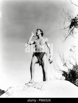 Johnny Weissmuller, 'Tarzan und sein Kumpel' MGM Datei Referenz 1934 #31316 120 THA Stockfoto