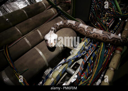 Film Still / Werbung noch vom Nakes auf einer Ebene" © 2006 New Line Cinema Photo Credit: James Dittiger Datei Referenz # 30753459 THA nur für redaktionelle Verwendung - Alle Rechte vorbehalten Stockfoto