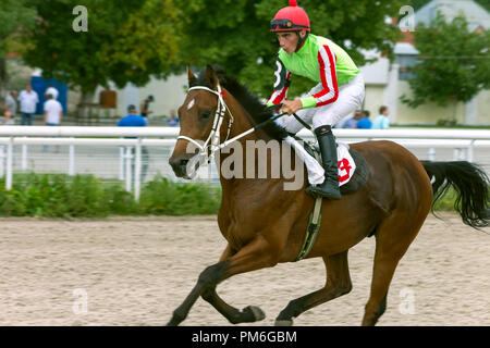 PYATIGORSK, Russland - September 16, 2018: Vor dem Pferd Rennen um den Preis der Vergleich auf der Pyatigorsk Hippodrom, Russland. Master jockey Bidzhiev und Stockfoto